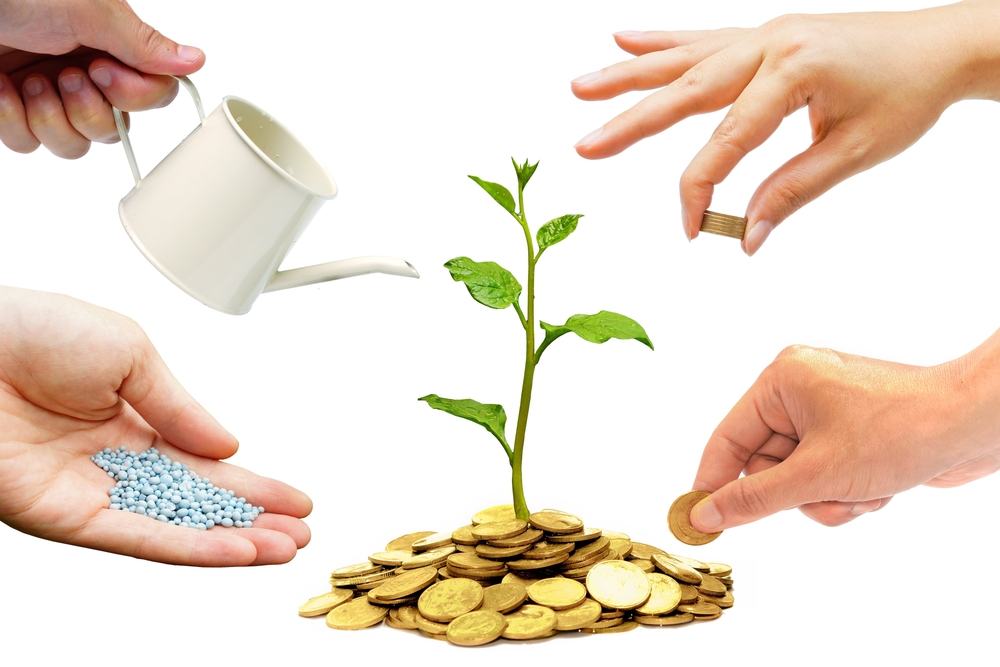 Wealth Preservation
